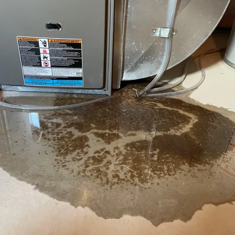 Appliance Leak Cleanup in Clatsop County, OR